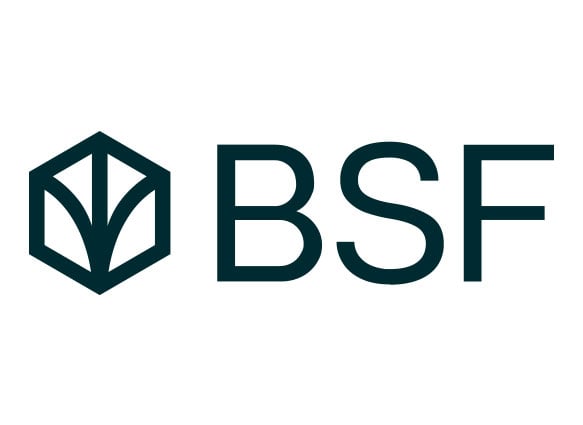 BSF Logo