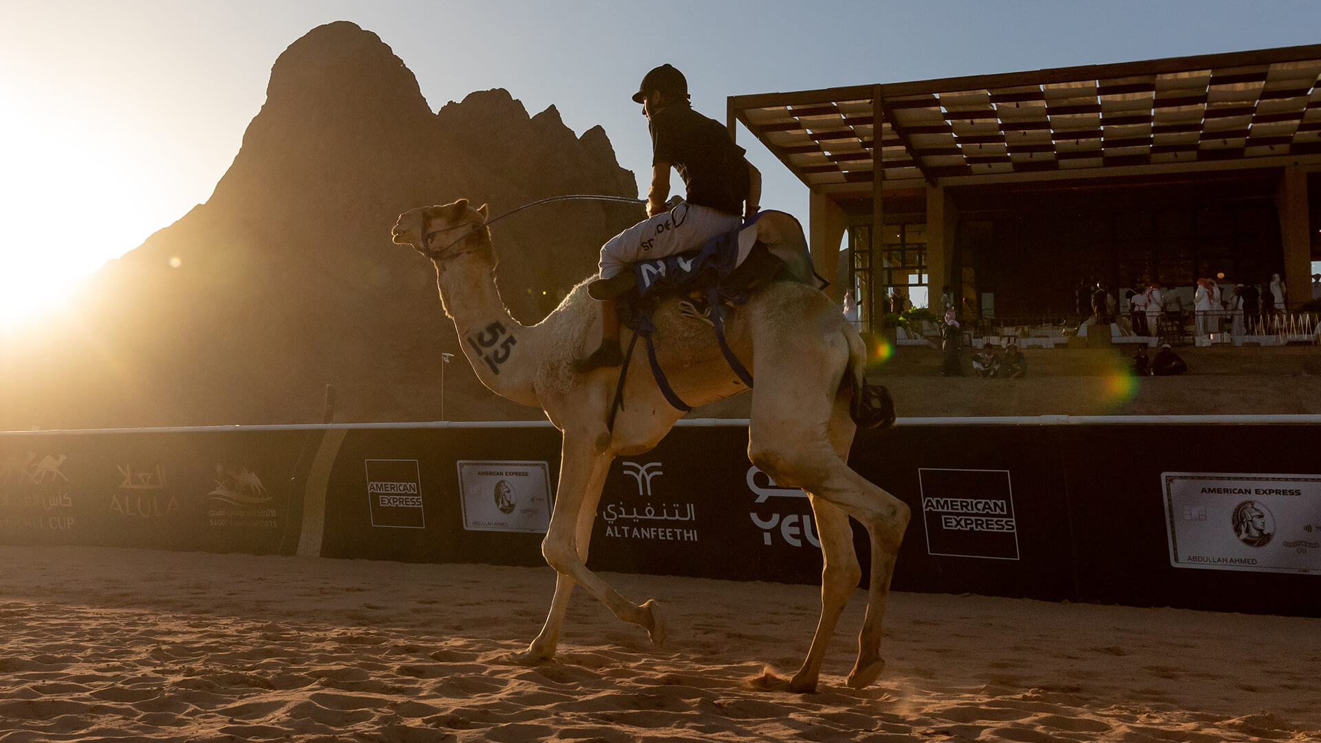 2024: Year of the Camel | Features| Experience AlUla